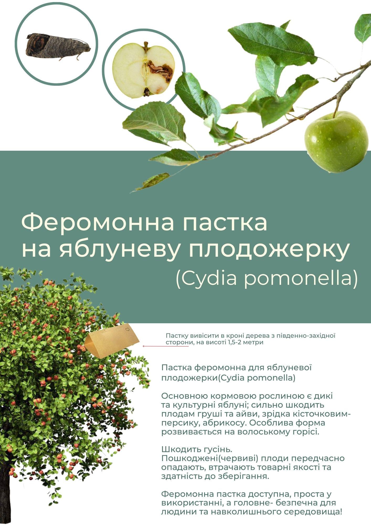 Ловушка феромонная для яблоневой плодожорки Cydia pomonella (С001)