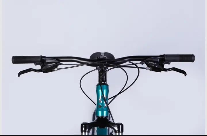 Велосипед Space PHAETON DD FR AL 29" рама 20" (2545655064) - фото 3 Велосипед Space PHAETON DD FR AL 29" рама 20" (2545655064) - фото 3