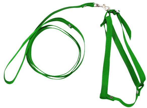 Шлейка-поводок для собак Човник капроновая 30х30-130 см Зелений (2296440469) Шлейка-поводок для собак Човник капроновая 30х30-130 см Зелений (2296440469)