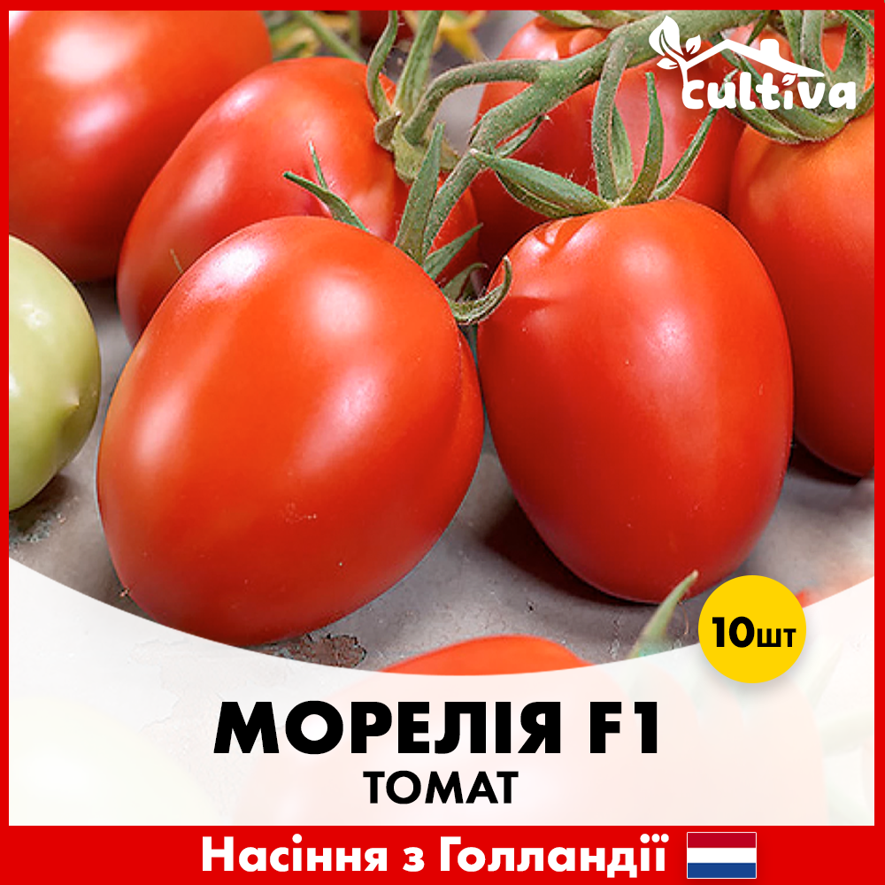 Семена томата Enza Zaden Морелия F1 10 шт. (00367)