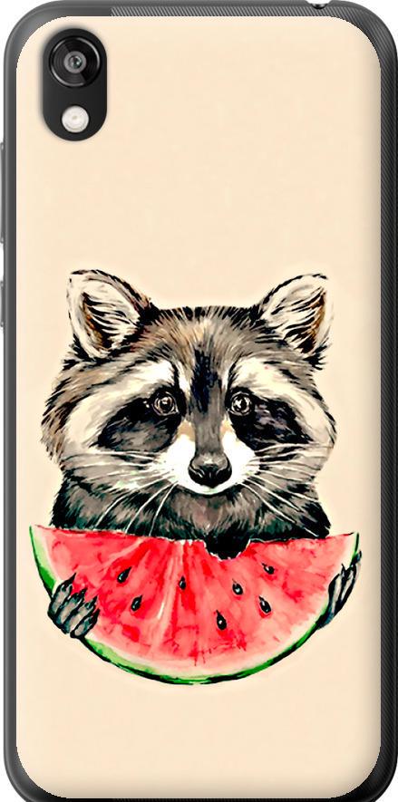 Чехол на Huawei Honor 8S Енотик с арбузом (4605t-1679-42517)