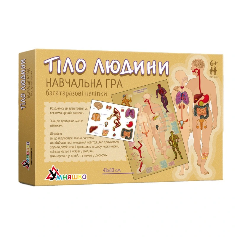 Дитяча навчальна гра з багаторазовими наклейками "Тіло людини" KP-004y українською мовою