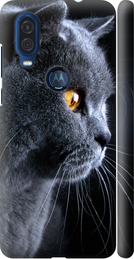 Чехол на Motorola One Vision Красивый кот (3038m-1782-42517)