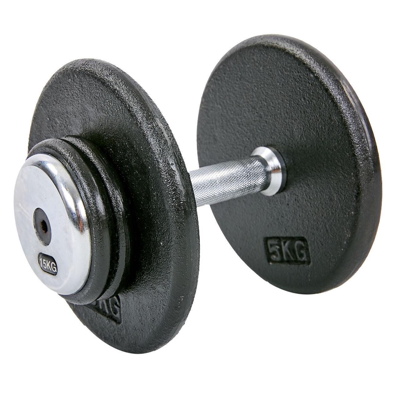 Гантель цельная Record TA-7231-15 стальная окрашенная 15 кг (2532855068)