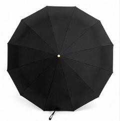 Женский зонт автомат ALLANIO Gold 9012 Black 12 спицами