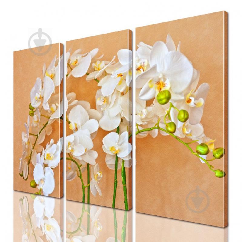 Модульная картина ArtStar цветы ADFL0168 размер 55 х 70 см