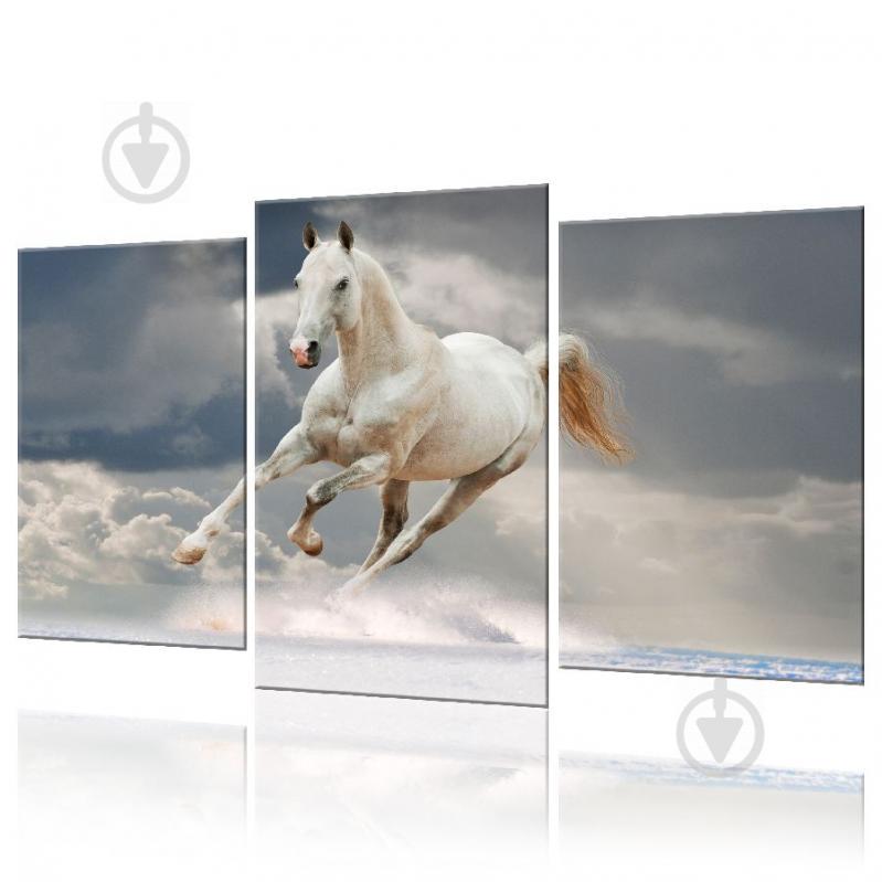 Модульная картина Лошадь ADJ0008 размер 120 х 180 см