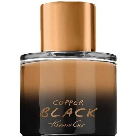 Туалетна вода для чоловіків Kenneth Cole Copper Black 50 мл