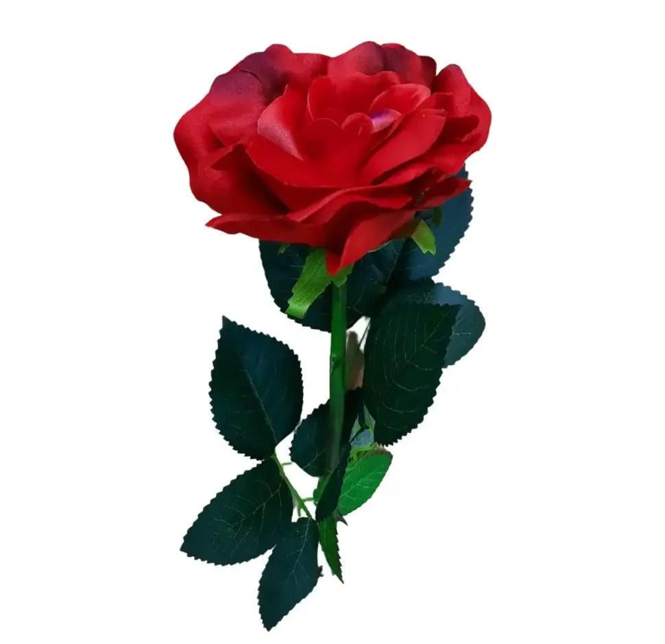 Садово-парковый светильник Sirius Роза грунтовая 54 см IP44 Красный (28010) - фото 4 Садово-парковый светильник Sirius Роза грунтовая 54 см IP44 Красный (28010) - фото 4