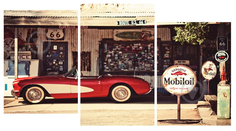 Модульная картина Декор Карпаты 100х53 см (M3-t184)