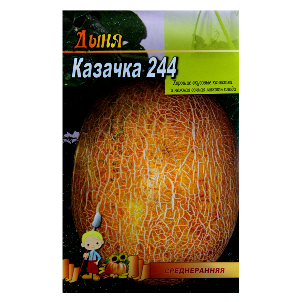 Семена дыни Казачка среднеспелая 5 г (22968) Семена дыни Казачка среднеспелая 5 г (22968)