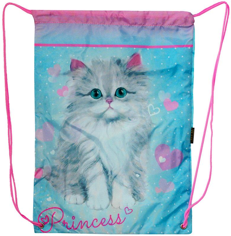 Сумка для обуви Princess Cat 2434C CLASS полиэстер 46х33 см (1333203)
