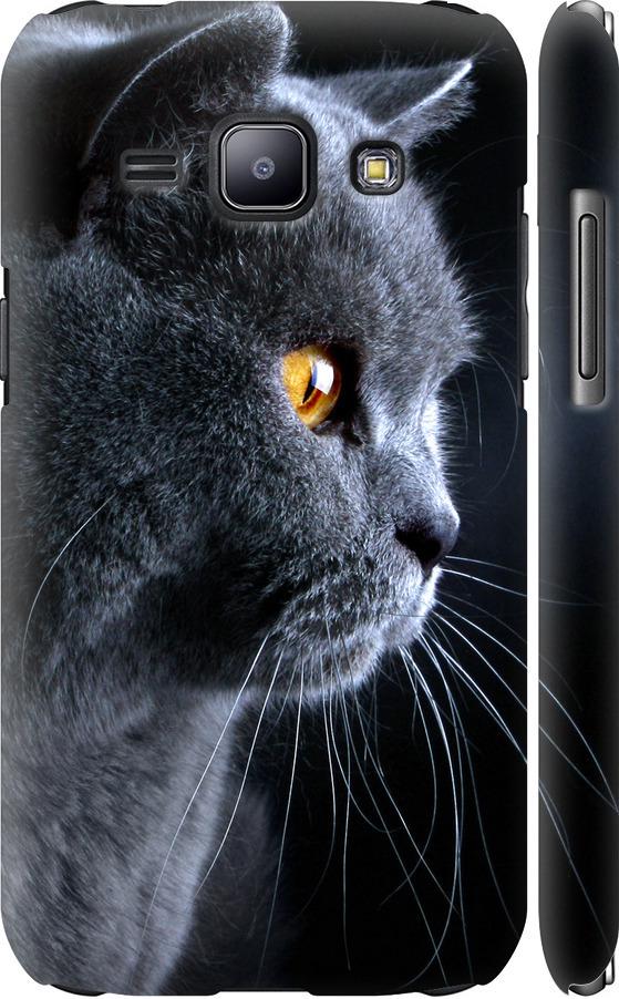 Чехол на Samsung Galaxy J1 J100H Красивый кот (3038m-104-42517)