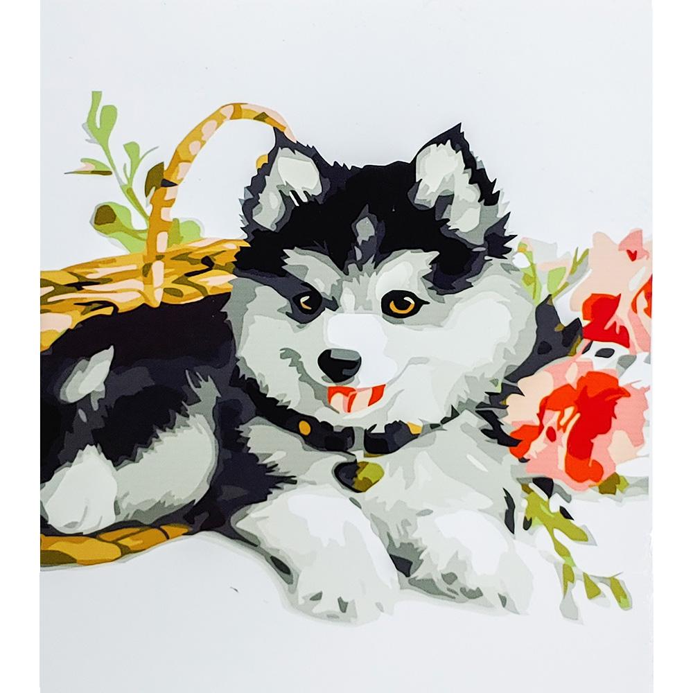 Картина за номерами Strateg Преміум Маленький хаски 30х40 см (SS6650)