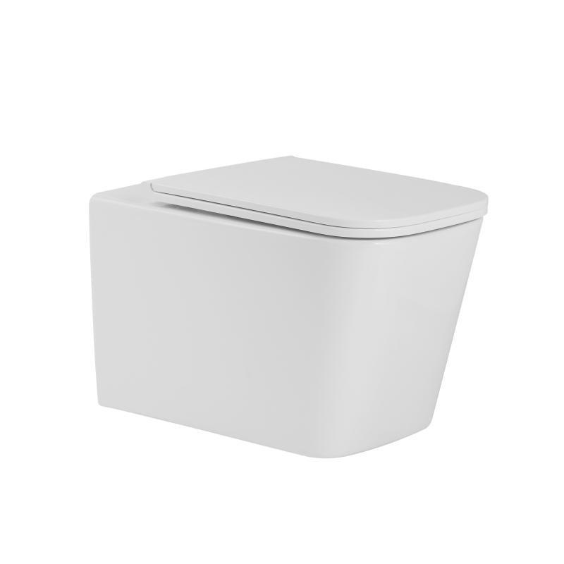 Унитаз подвесной Qtap QT17332303AW Tern Ultra Quiet безободковый с сиденьем Soft-close White (SD00052570)