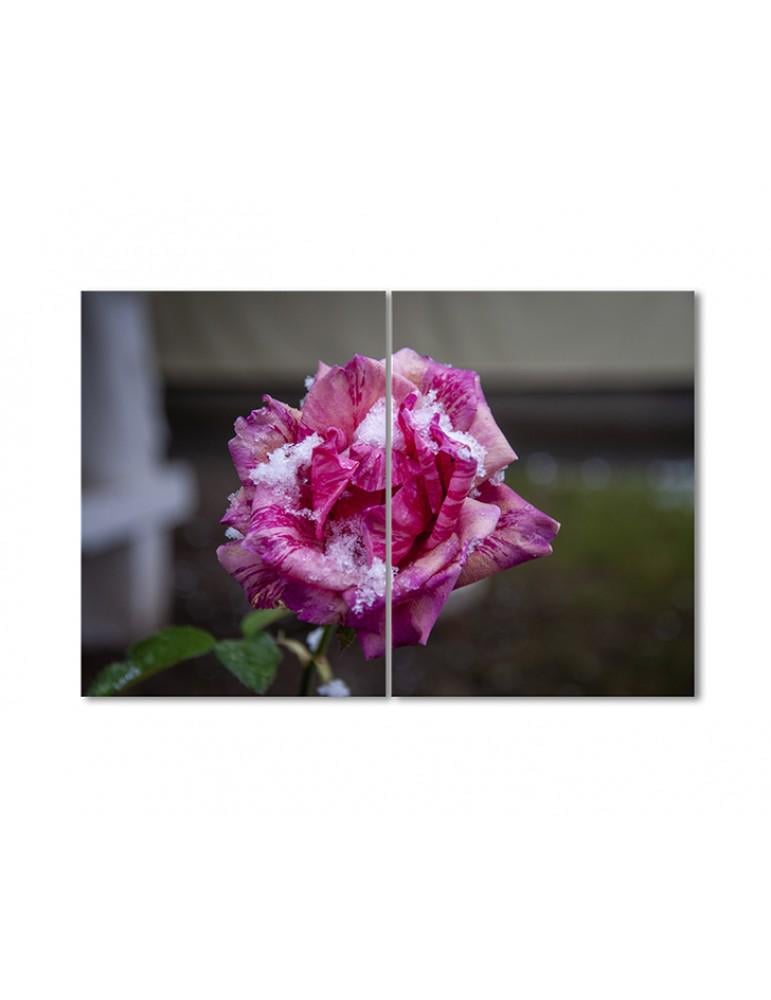 Картина модульная Роза и первый снег 2 модуля 70x105 см