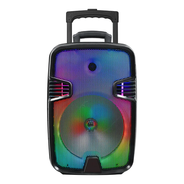 Акустична колонка портативна Megafox OTY 809 10 Вт з мікрофоном та пультом bluetooth 8'' (MLD_V5)