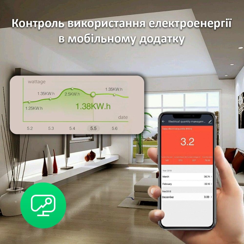 Розумна розетка з голосовим управлінням Digital Lion IS-01w з WiFi і підтримкою Tuya для Android/iOS - фото 11