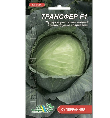 Насіння капусти Трансфер F1 суперрання 0,2 г (26850)