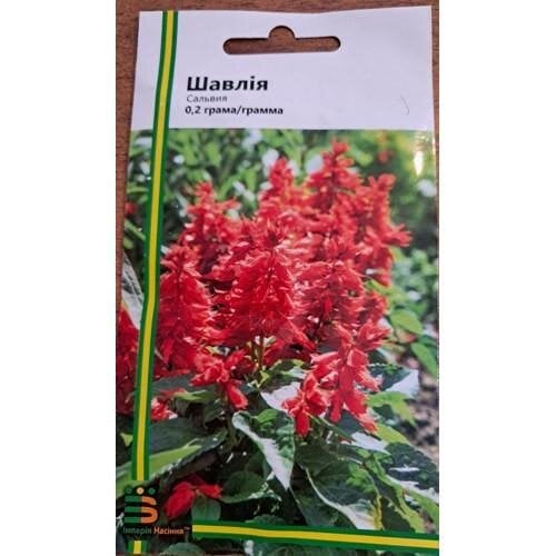 Семена цветов Шалфей 0,2 г Империя семян (IS-03271)