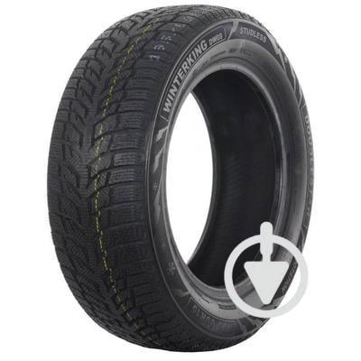 Автошини Doublestar WINTERKING DW08 225/55 R16 95H