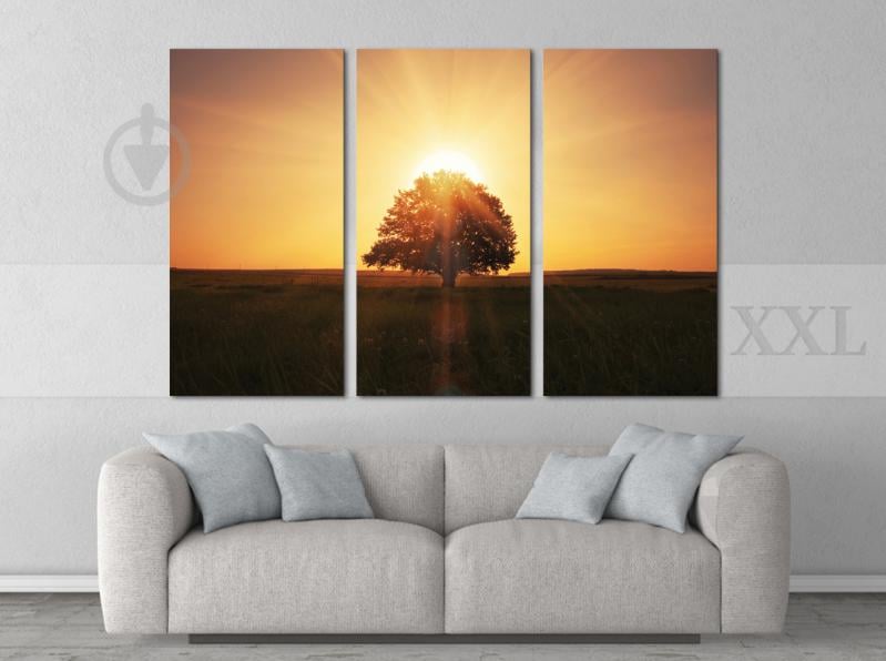 Модульна картина Poster-land Дерево Світанок Art-39_XXL