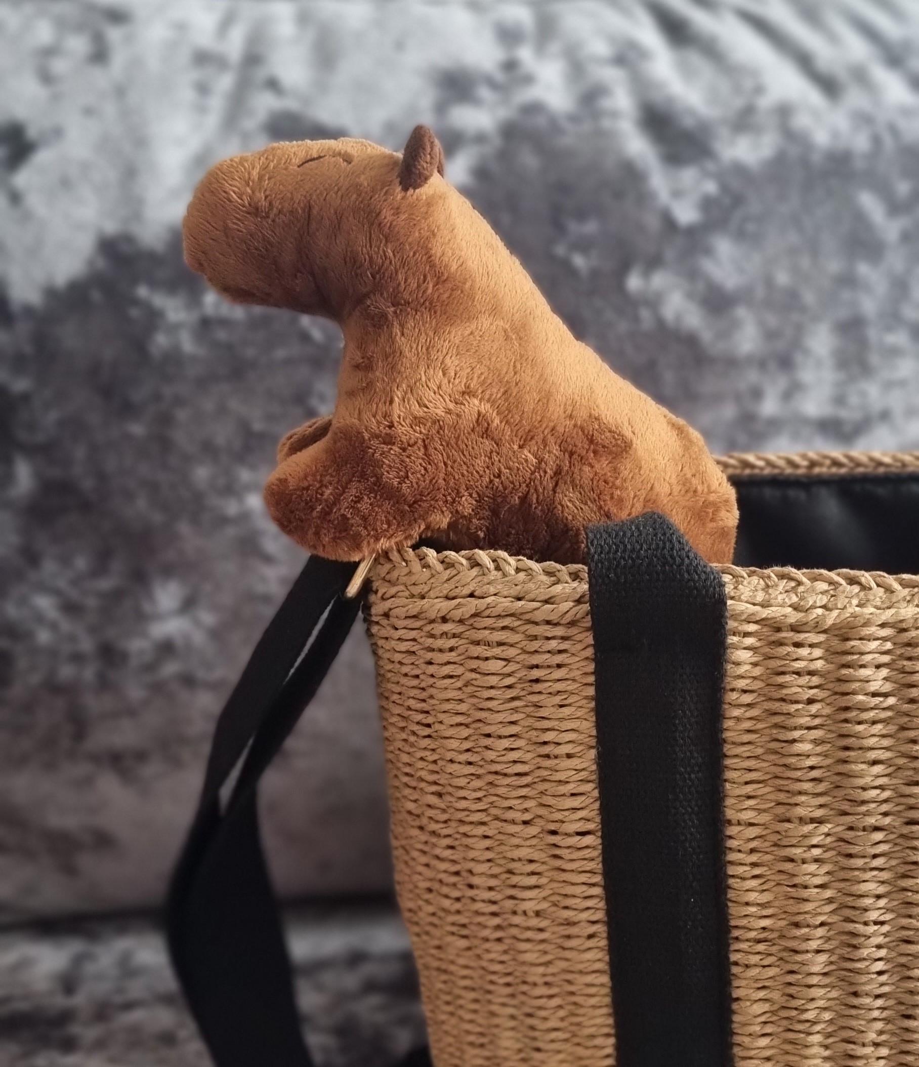 М'яка іграшка капібара 25 см (01_І0202521094) - фото 7 М'яка іграшка капібара 25 см (01_І0202521094) - фото 7