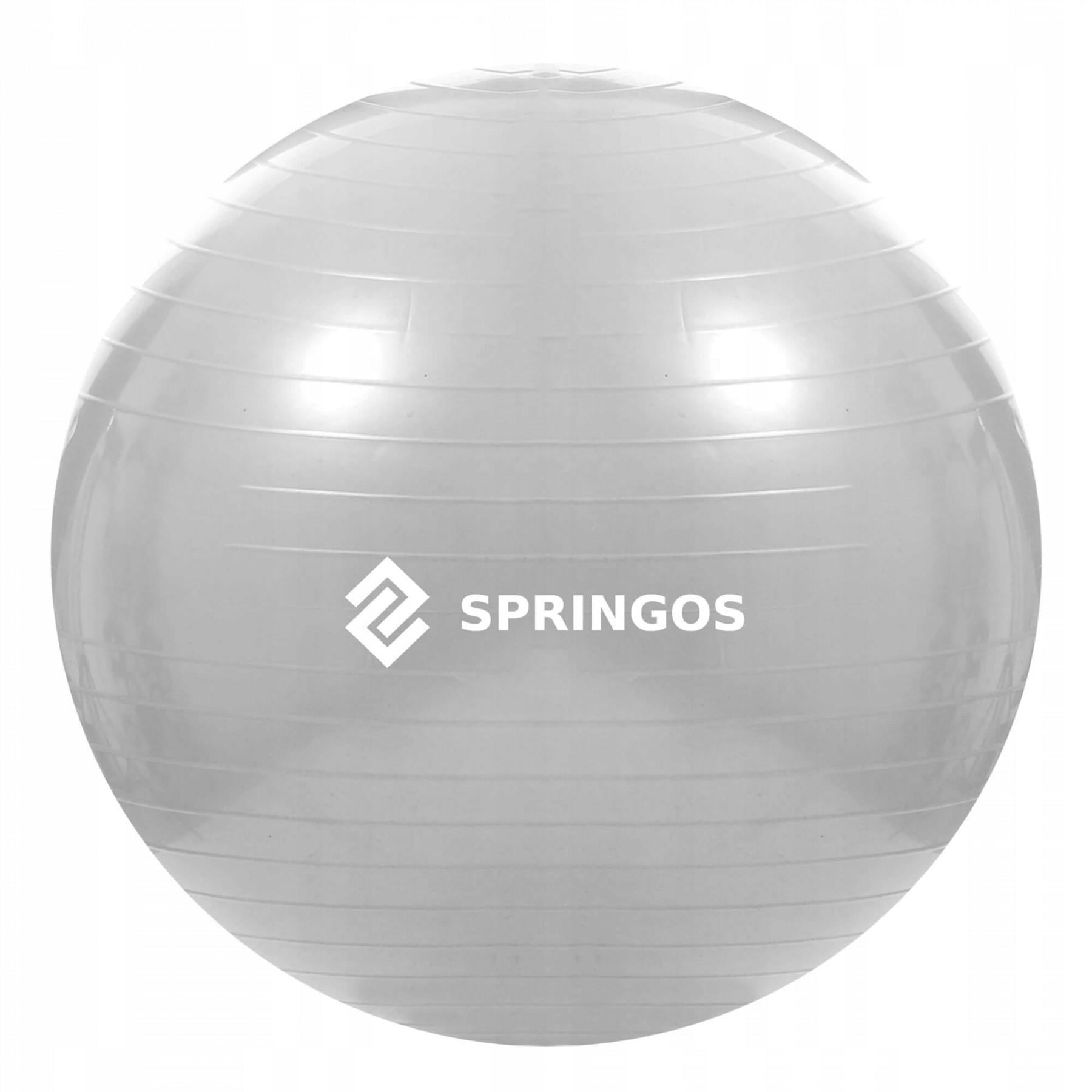 Фитбол SportVida 75 см Anti-Burst Grey (20806)