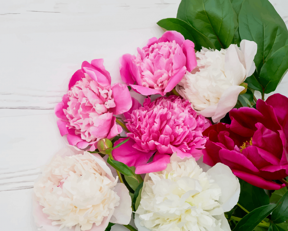 Картина по номерам ART CRAFT Пионовая фиеста 40x50 см без коробки (ACR-13107-AC)