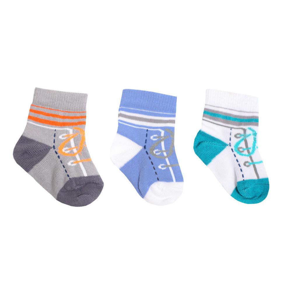 Носки детские хлопковые демисезонные для мальчика Gabbi NSM-52 р. 10-12 6 пар (90052)