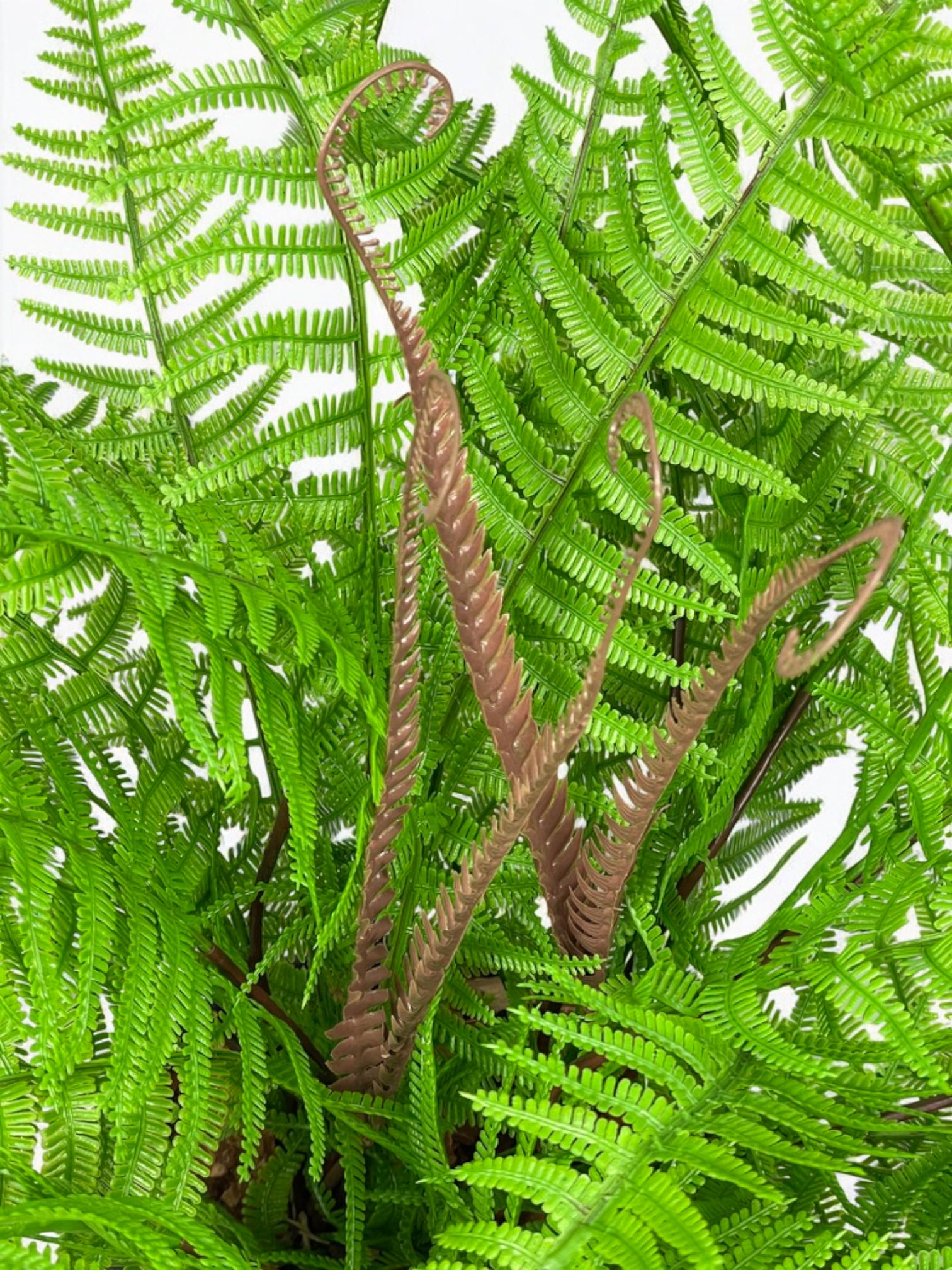 Композиция из искусственного папоротника в черном керамическом горшке Зеленый (А202) - фото 3 Композиция из искусственного папоротника в черном керамическом горшке Зеленый (А202) - фото 3