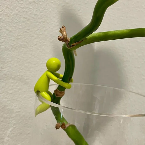 Набор фигурок для поддержания растений и стеблей 9 шт. (C01561-1) - фото 7