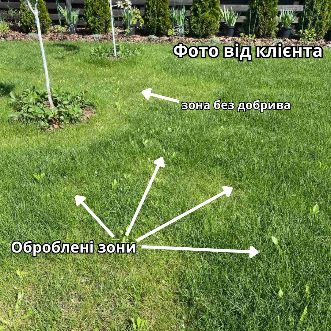 Добриво для газону AgroGreen для всіх типів газону 8 кг (25164695) - фото 2 Добриво для газону AgroGreen для всіх типів газону 8 кг (25164695) - фото 2