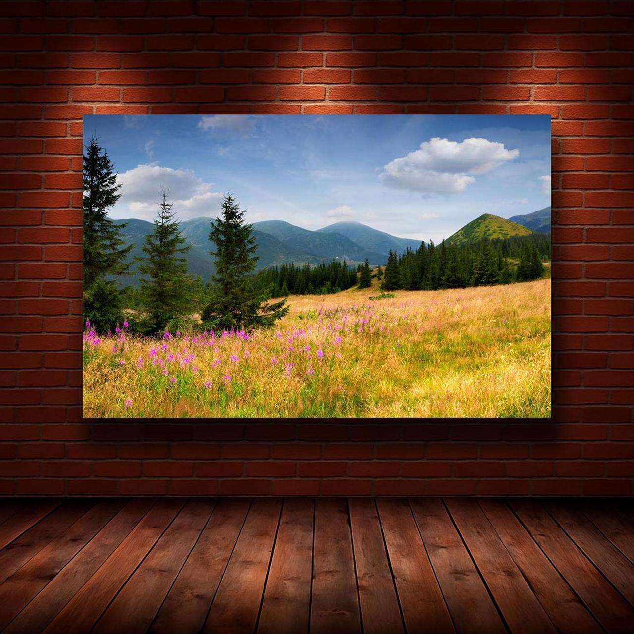 Картина на холсте Природа 55х85 см (N851)
