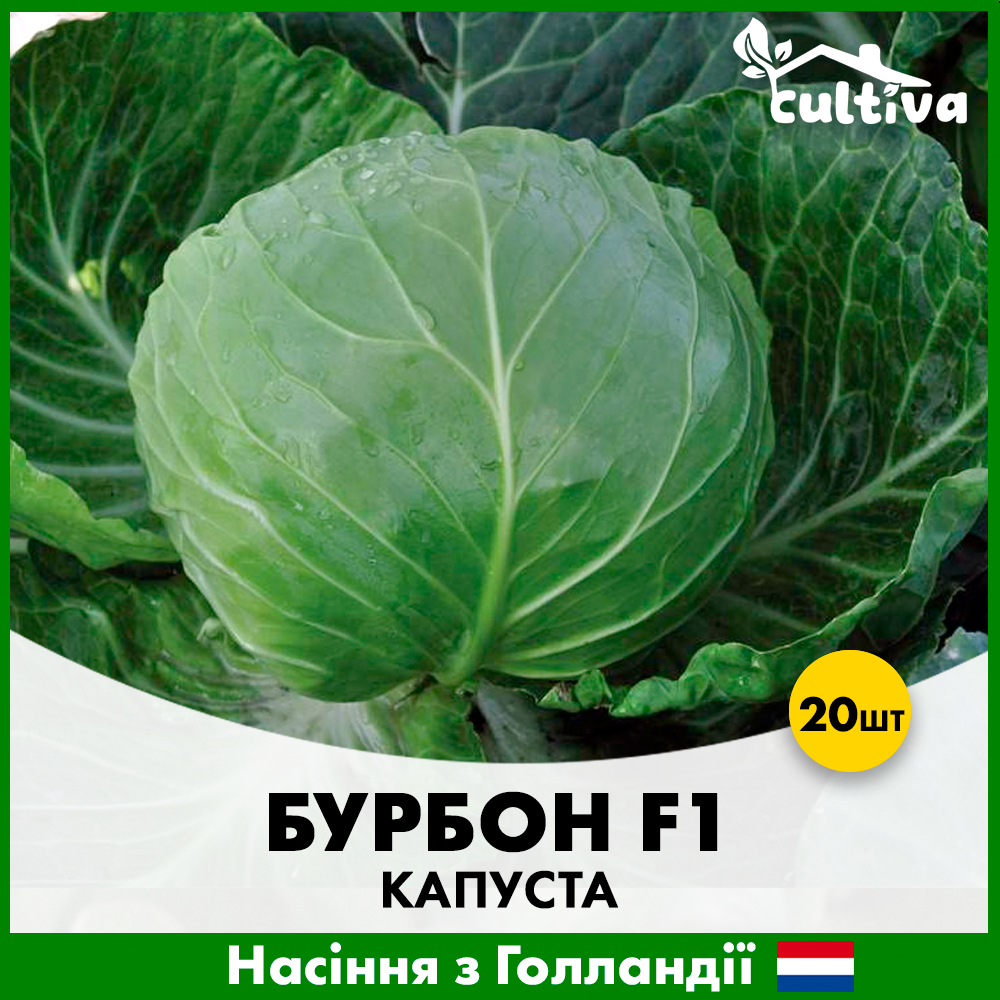 Насіння капусти Hazera Білоголова Бурбон F1 20 шт. (00361)