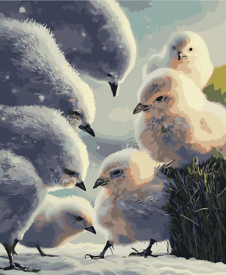 Картина по номерам Strateg Пернатые друзья 40x50 см (GS253)