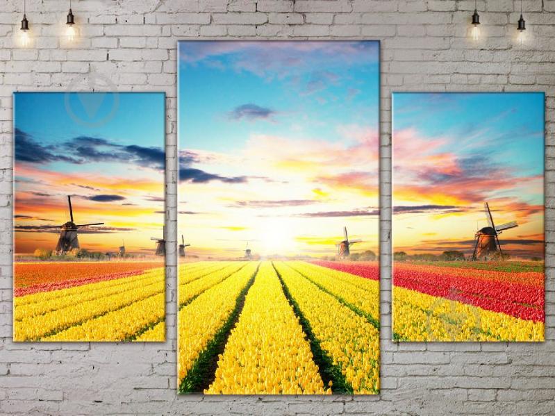 Модульная картина ArtStar ADNA0124 размер 45 х 70 см