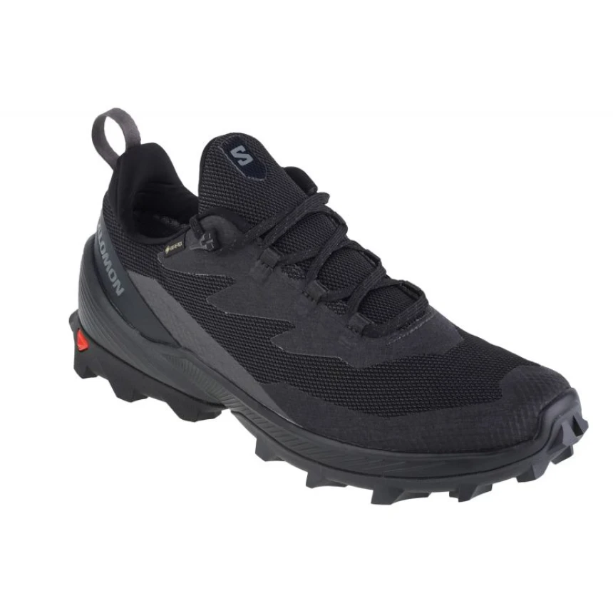 Кроссовки мужские Salomon Cross Over 2 GTX р. 44 (472690)