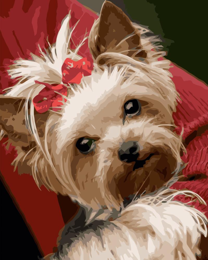 Картина по номерам Strateg Песик с хвостиком 40x50 см (VA-3429)