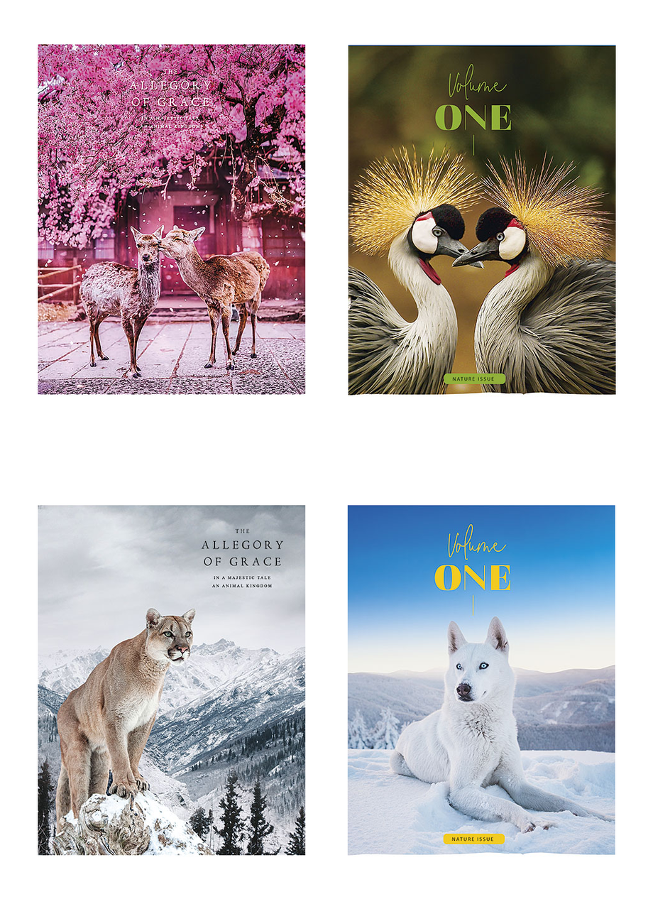 Комплект школьных общих тетрадей Школярик А5 48 л. в линейку 4 шт. (5072 4823088219197)