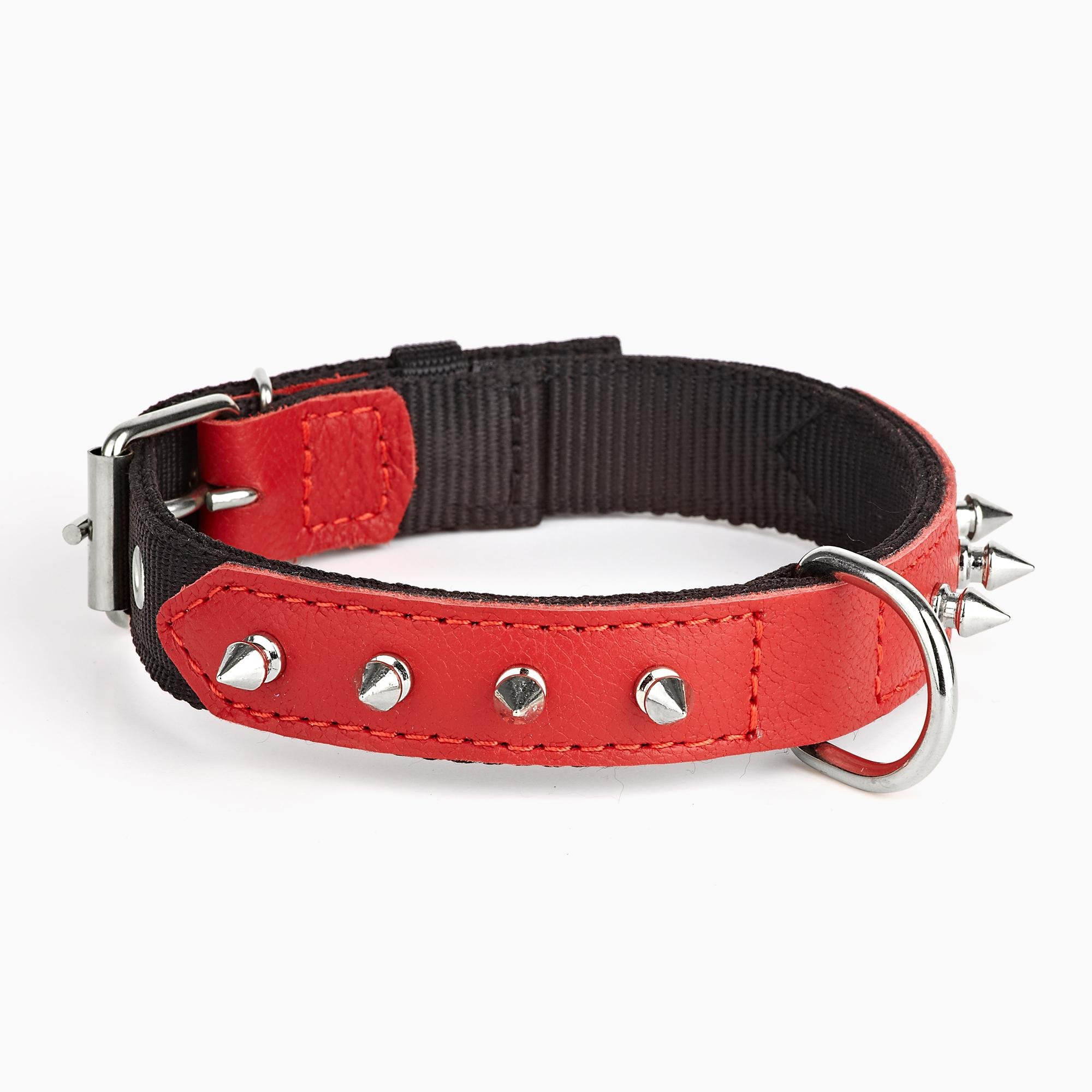 Ошейник KareLine и натуральной кожи с заклепками 25 мм 370-440 мм (6603/6) - фото 1 Ошейник KareLine и натуральной кожи с заклепками 25 мм 370-440 мм (6603/6) - фото 1