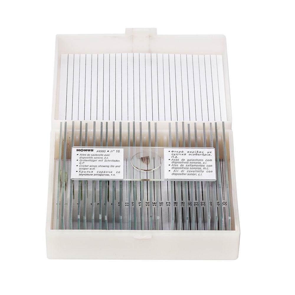 Набір мікропрепаратів Konus Зоологія: Комахи 25 шт. (25072102)