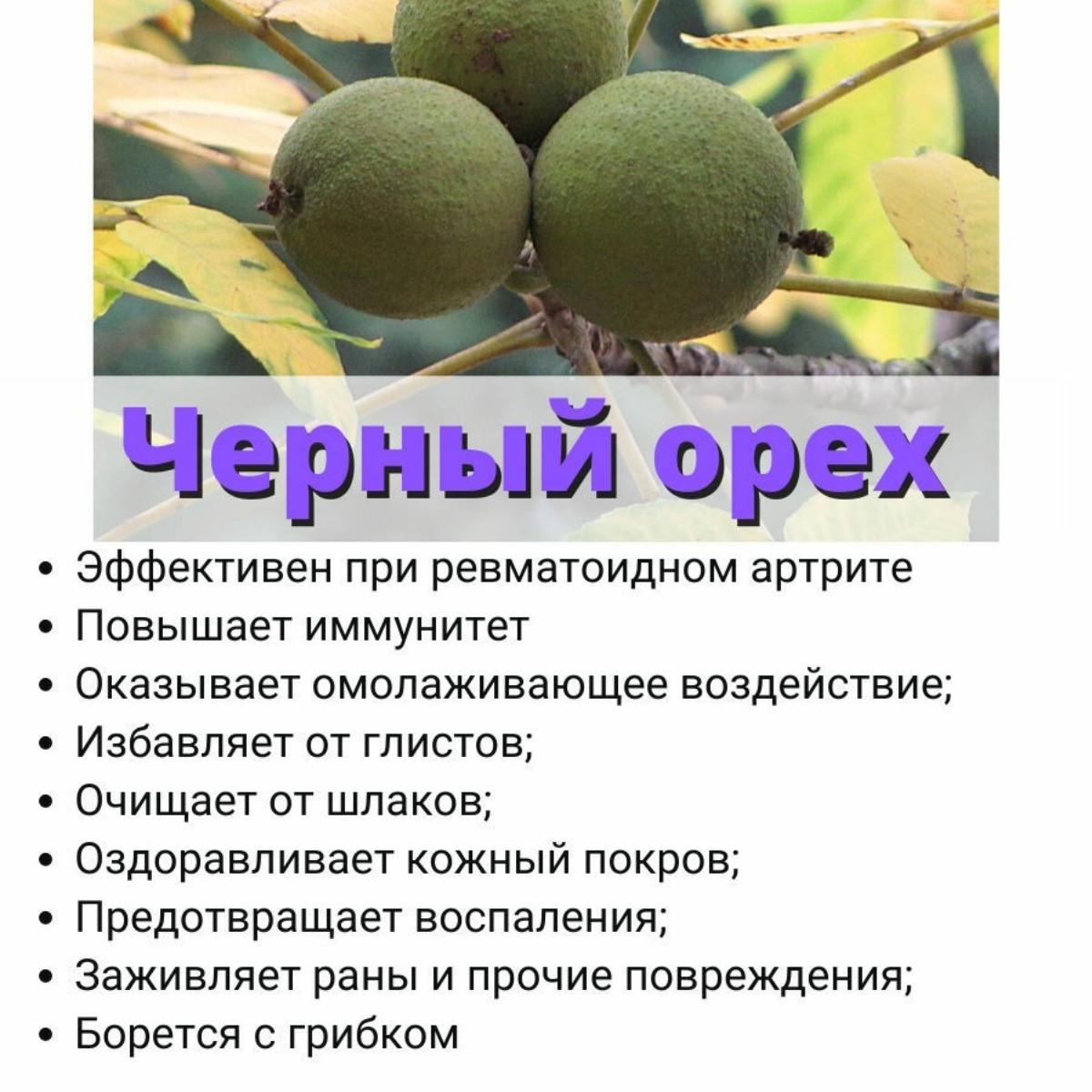 ᐉ Настойка черного ореха на керосине Тогдакамп 100 мл • Купить в Киеве ...