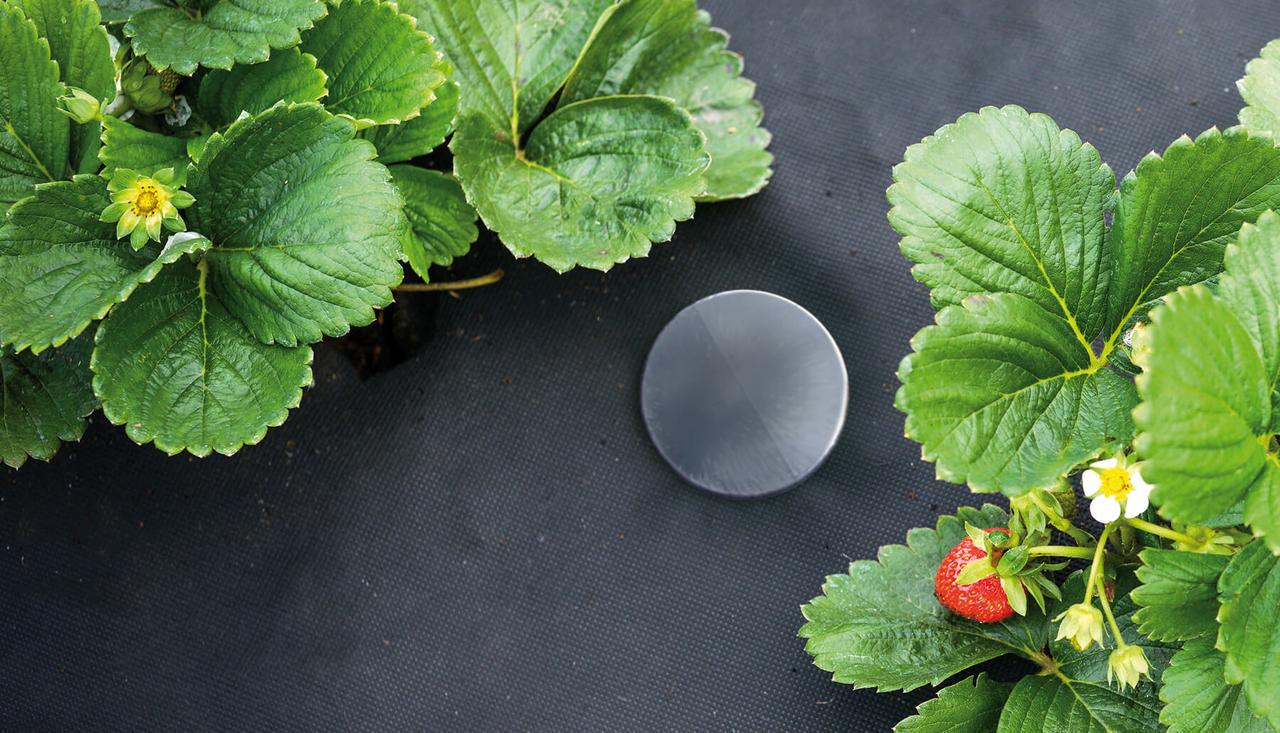 Колышек полимерный для агроволокна Garden Peg 100 шт. - фото 6