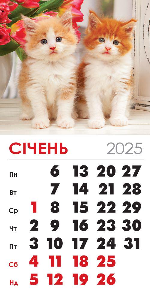Календар на 2025 р. Магніт Руда двійка Календар на 2025 р. Магніт Руда двійка