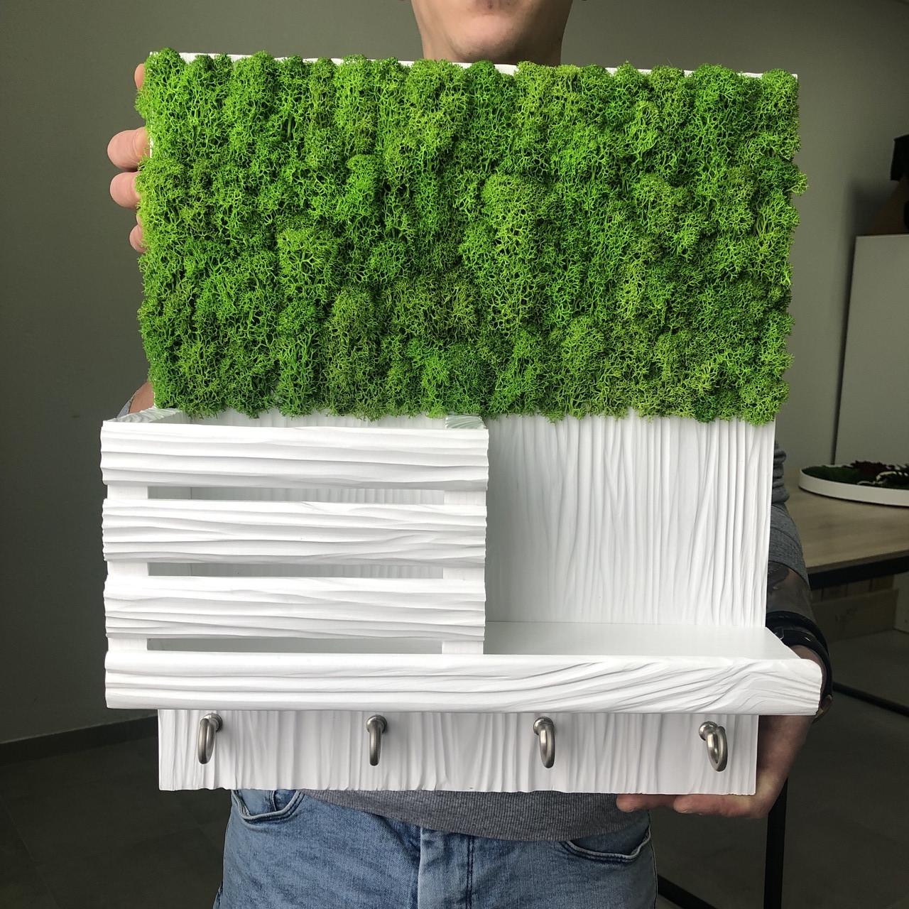 Ключница настенная MiNature Moss брошенное дерево стабилизированный мох эко-декор 30x40 см (1581050416)