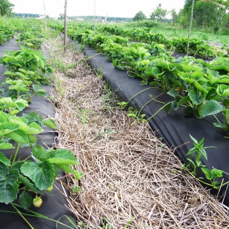 Агроволокно Agreen 50 г/м2 0,53х100 м Чорний (57997) - фото 5