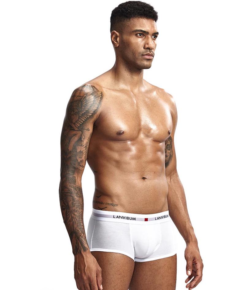 Трусы Lanvibum L Белый (5538)