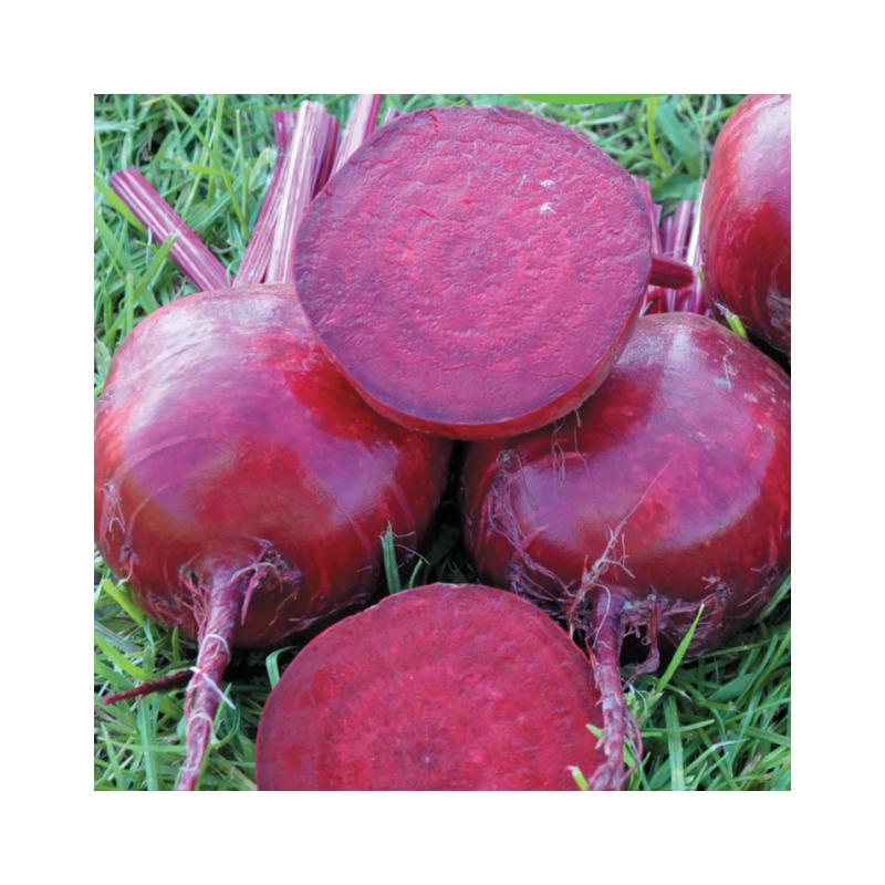 Свекла Столовая Clause DETROIT 1 кг (2289789406.5)