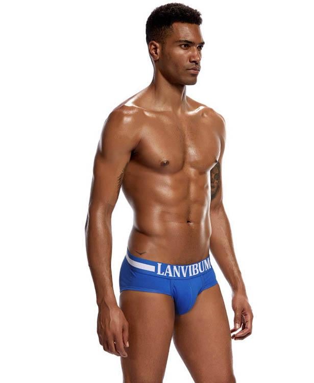 Трусы Lanvibum XXL Синий (4505)